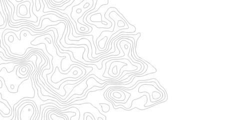 White wave paper curved reliefs abstract background. The topographic map contour in lines isolated. Abstract white topographic map background with lines. Background of the topography map.