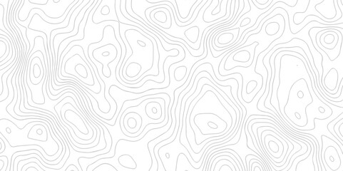 White wave paper curved reliefs abstract background. The topographic map contour in lines isolated. Abstract white topographic map background with lines. Background of the topography map.