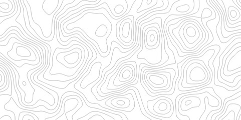 White wave paper curved reliefs abstract background. The topographic map contour in lines isolated. Abstract white topographic map background with lines. Background of the topography map.