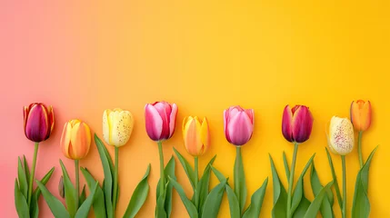 Möbelaufkleber spring tulips © sam richter