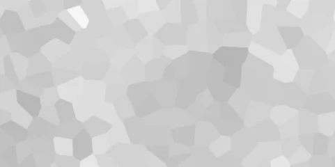Crédence de cuisine en verre imprimé Coloré Abstract white and gray stained glass background pattern .white and gray stained glass window art background .seamless pattern with 3d shapes vector vintage design .