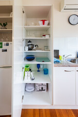 Organized Kitchen Cabinet with Various Household Items