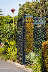 Elegant Garden Gate Amidst Lush Greenery and Blooms