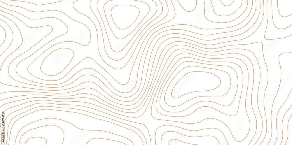 Wall mural topographic map background geographic line map pattern .panorama view light brown color wave curve l