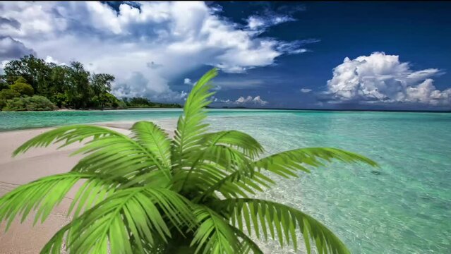 tropical island with palm trees seamless looping 4k animation video background