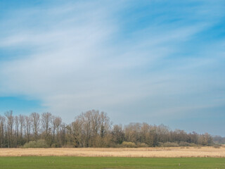 Obraz premium Nature reserve Reevediep, Flevoland province, The Netherlands || Natuurgebied Reevediep