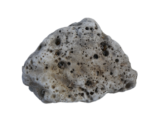 White dead coral rocks or brain coral stone with transparent image.