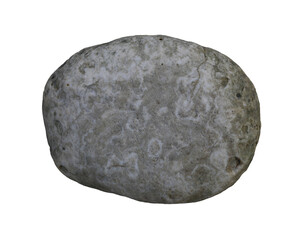 White dead coral rocks or brain coral stone with transparent image.