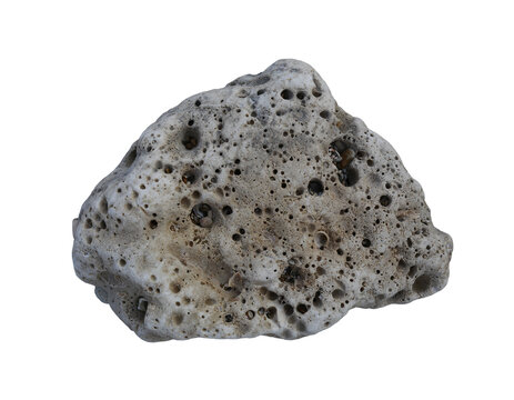 White dead coral rocks or brain coral stone with transparent image.
