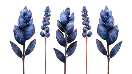 Blue Cohosh Botanical Illustration in 3D Digital Art - Natural Herbal Remedy Isolated on Transparent Background