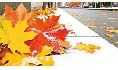 A pile of leaves on the ground with snow on top
