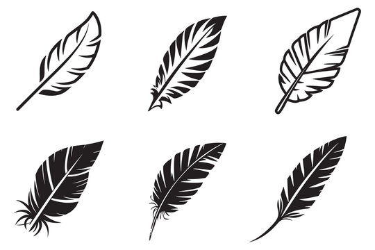 Feather Hand Drawn Set Vector On White Background