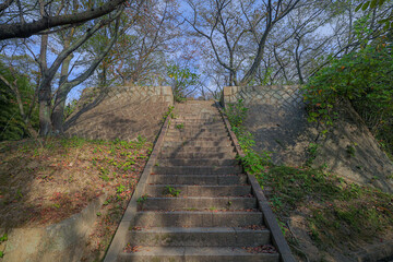 アレイからすこじま