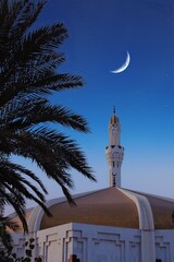 palm tree, mosque minaret and crescent. ramadan concept.jeddah saudi arabia
