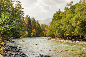 shallow alpine river with a fast flow and stones on the bank - 754794784