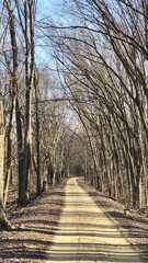 Obraz premium Jane Addams trail beautifull 