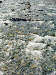 shallow alpine river with a fast flow and stones on the bank - 754796967