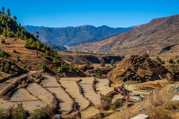Fototapeta na wymiar Agricultural Harmony: Rustic Rice Terraces of Tatopani Village in Jumla, Karnali Province, Nepal
