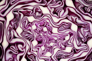 Texture of red cabbage