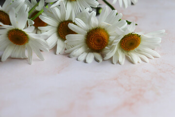 postcard mockup with a bouquet of white daisies