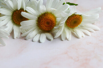 Fototapeta premium postcard mockup with a bouquet of white daisies