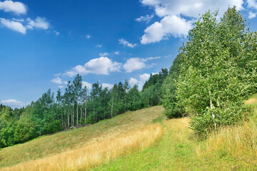 Fototapeta na wymiar Summer landscape in the mountains, Gorce mountains, Poland Forest and grassy meadow under the blue sky with some clouds.