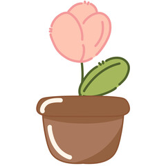 Plant, flower, floral, spring, summer, beautiful, cute