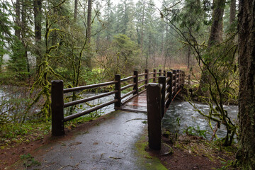 Wooden bridge over South Falls Creek in the Oregon in rainy day