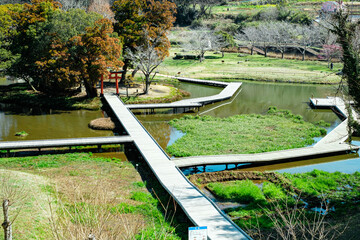 神奈川県足柄上郡中井町 春の厳島湿生公園