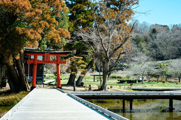 神奈川県足柄上郡中井町 春の厳島湿生公園