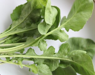 Arugula leaves fresh vegetablr