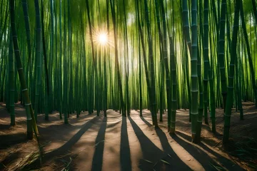Foto op Canvas bamboo forest in the morning © MB Khan