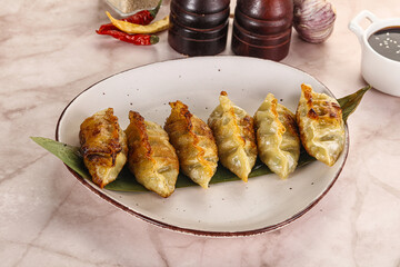 Fried Japanese stuffed dumplings - Gyoza
