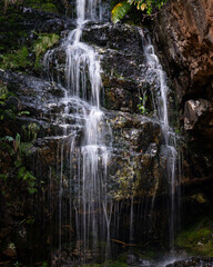 waterfall in the forest