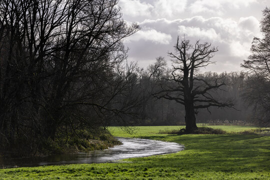 Die Niers bei Straelen