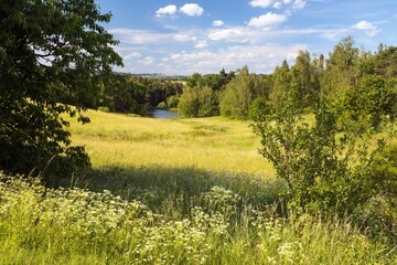 Landscape with flowery meadow, forest and small pond - 754821784