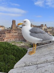 Rome Italy
