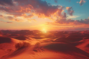 Schilderijen op glas Landscape view of the desert at sunset © Michael