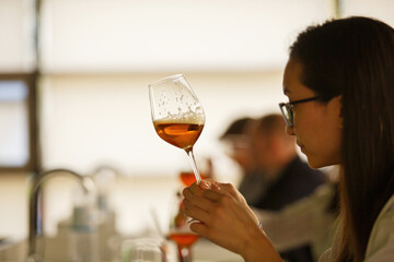 Professional Sommelier Woman Tasting Beer, Looking it Color, Rate it Density and Strength Being at Advanced Training Courses for Professionals in Field of Alcoholic Beverages