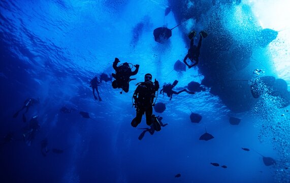 This photo is about scuba diving in the Maldives Islands. Starting from Male Airport, the photos range from underwater shots to mermaid shots by boat. This photo is about scuba diving in the Maldives