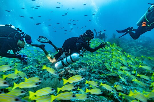 This photo is about scuba diving in the Maldives Islands. Starting from Male Airport, the photos range from underwater shots to mermaid shots by boat. This photo is about scuba diving in the Maldives