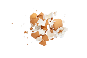 Pile of broken eggshell isolated flat lay