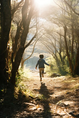 Fototapeta premium 男, 男の子, 森, 森の中, 後ろ姿, 男の子の後ろ姿, 走る男の子, 木漏れ日, man, boy, forest, woods, back view, boy's back view, running boy, sunlight through trees