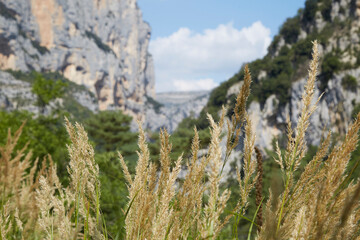 Gorges Du Verdonn, Schlucht von Verdon, Frankreich 
