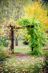 Decorative wooden arch in the autumn garden, covered with thick green and yellow foliage and twigs. The concept of a road to nature, a beautiful autumn background