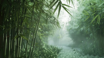 Serene Bamboo Forest, Mist weaves through a dense bamboo forest, creating a serene and tranquil...