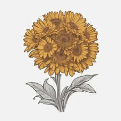 A Calendula tattoo traditional old school bold line on white background