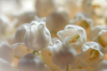 Lily of the valley flowers in full bloom, capturing their delicate beauty and sweet fragrance