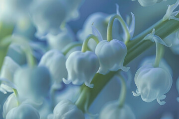 Lily of the valley flowers in full bloom, capturing their delicate beauty and sweet fragrance