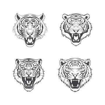 Tiger head vector logo design, icon , illustration